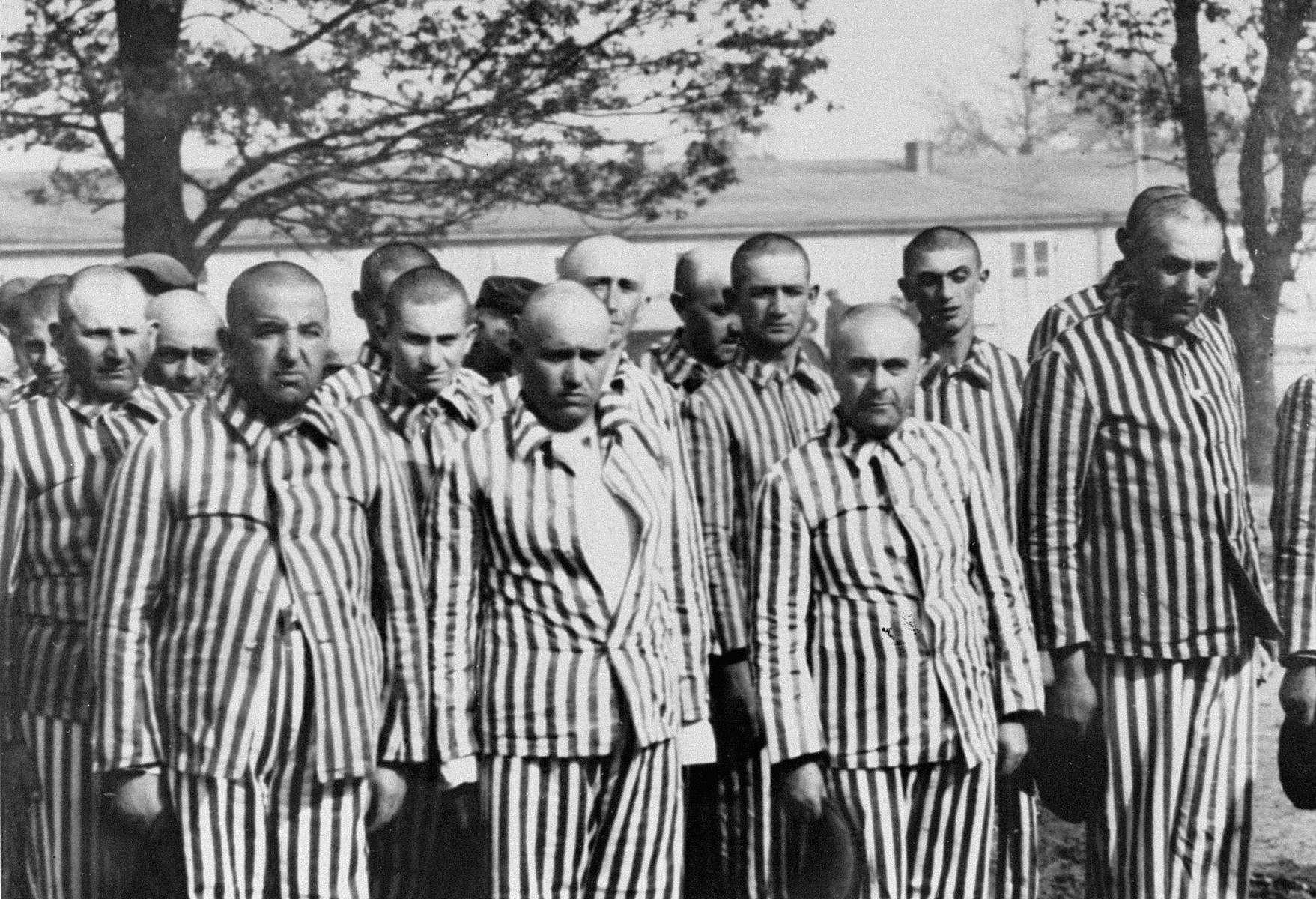 Jewish men from Subcarpathian Rus who have been selected for forced labor at Auschwitz-Birkenau, stand in their newly-issued prison uniforms at a roll call. 

Among those pictured are the butcher Salomon Lazar (second row, far left), the pharmacist Istvan Balaszo from Tecso (front row, third from the left), Shimshon Falkovics (back, center), Moshe Vogel (second from the right) and Shmuel Yitzhak Smilovics of Tacavo (far right).