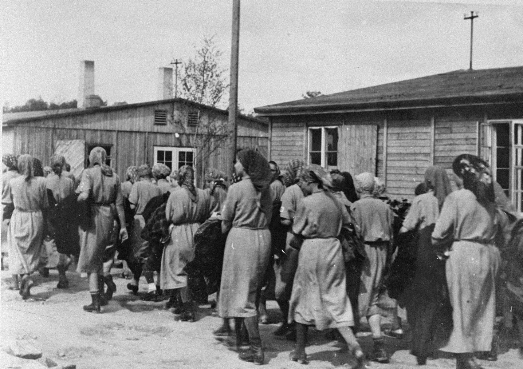 Jewish women from Subcarpathian Rus who have been selected for forced labor at Auschwitz-Birkenau, march toward their barracks after disinfection and headshaving.
