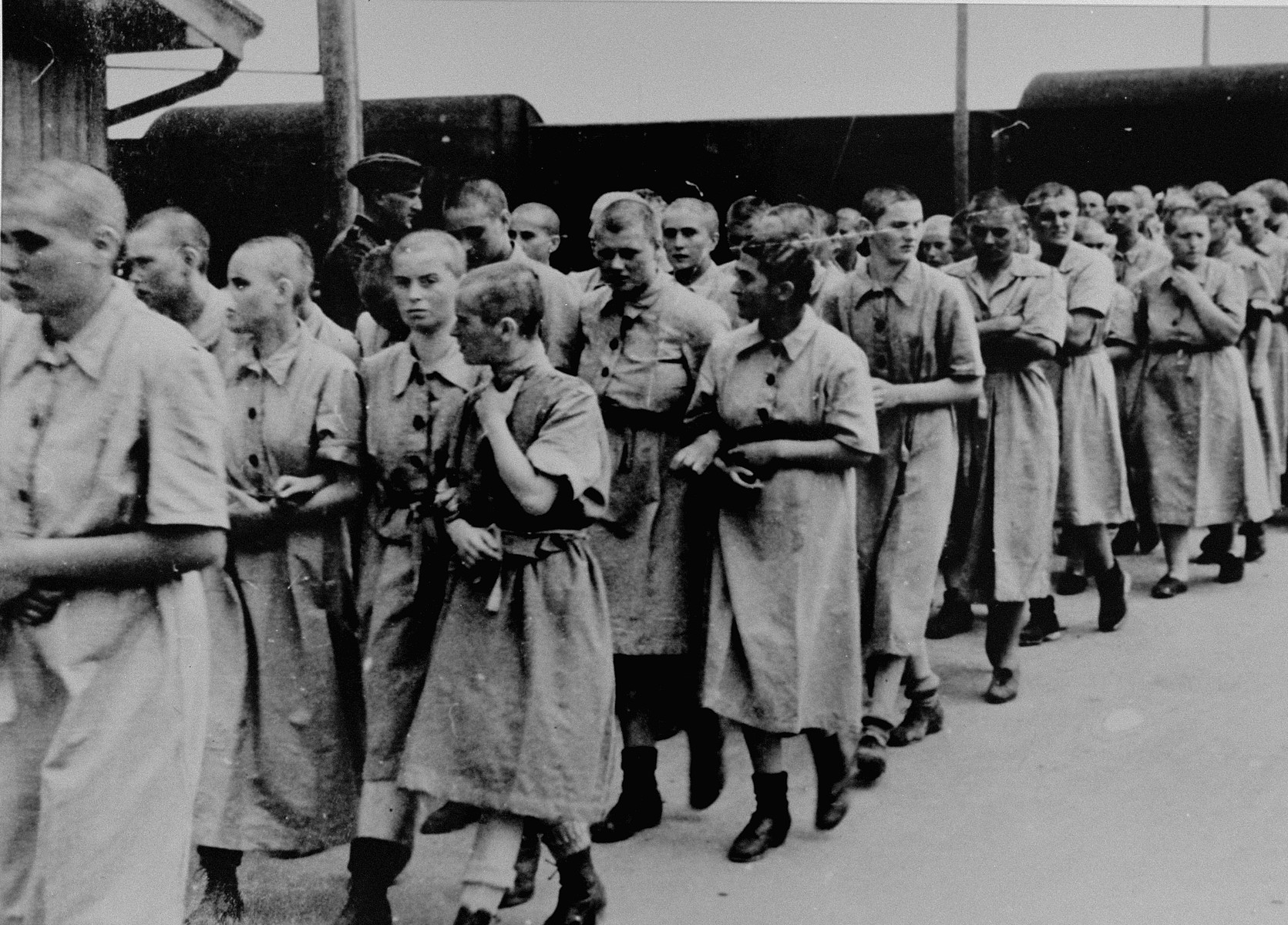 Jewish women from Subcarpathian Rus who have been selected for forced labor at Auschwitz-Birkenau, march toward their barracks after disinfection and headshaving.

Among those pictured are Ella Hart Guttman (in the center with dark hair, in the outside row facing inward) from Uzhgorod and next to her, Lida Hausler Leibovics also of Uzhgorod. The tall woman looking to her left is Eva Fahidi from Szeged.