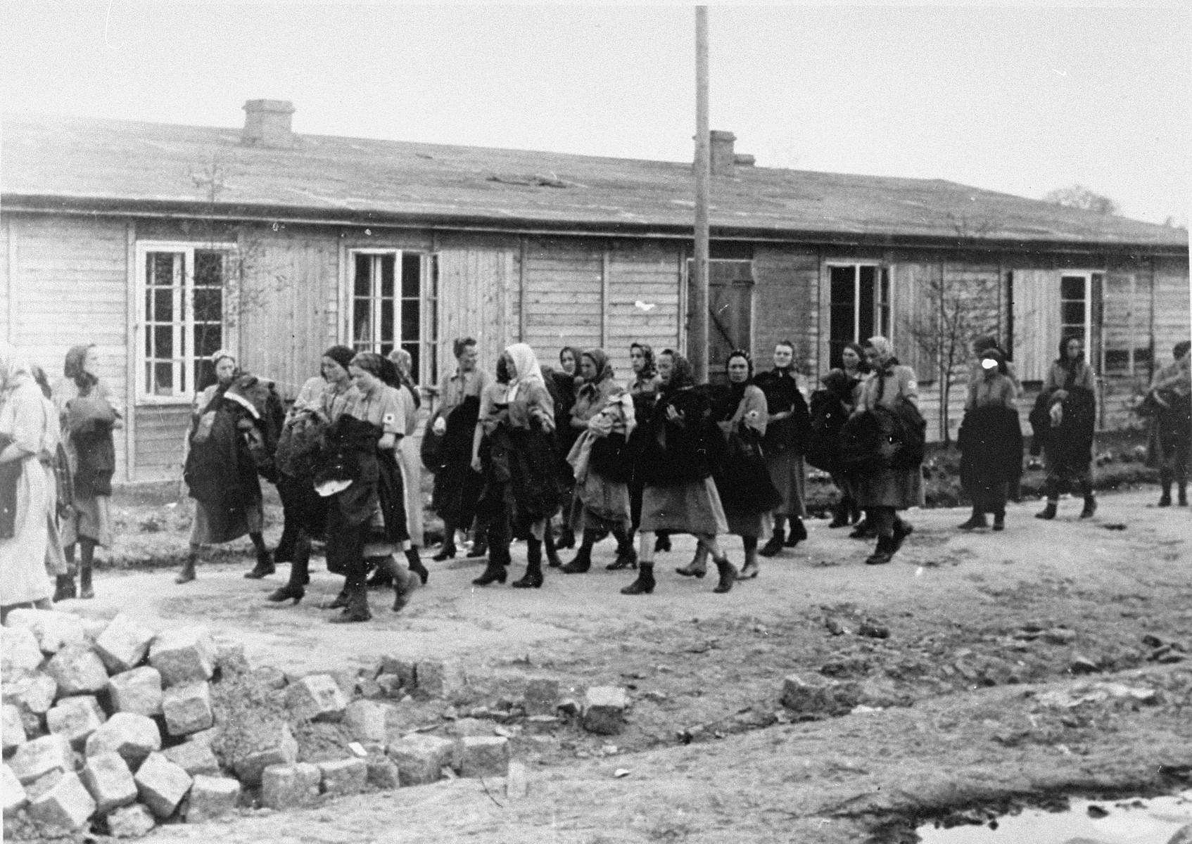 Jewish women from Subcarpathian Rus who have been selected for forced labor at Auschwitz-Birkenau, march toward their barracks after disinfection and headshaving.

According to Leo Cove, these women were on their way to pick up their bread rations. One of these women saved Mr. Cove's mother by pulling her from the line of women selected for death and sticking a loaf of bread in her hands.