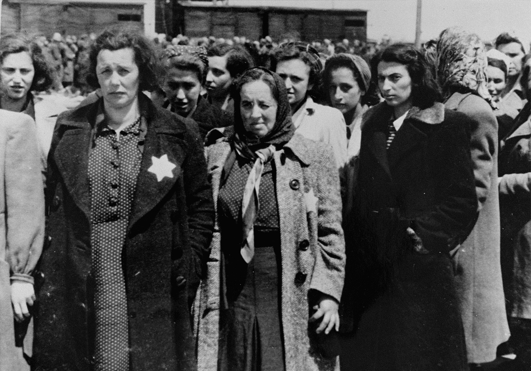 Jewish women from Subcarpathian Rus who have been selected for forced labor at Auschwitz-Birkenau, wait to be taken to another section of the camp.
 
Pictured in the front left is Mrs. Hegedush.
