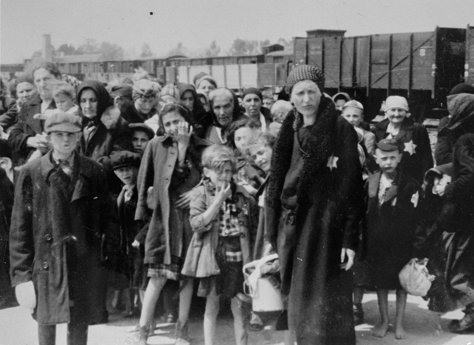 Jewish women and children from Subcarpathian Rus await selection on the ramp at Auschwitz-Birkenau.