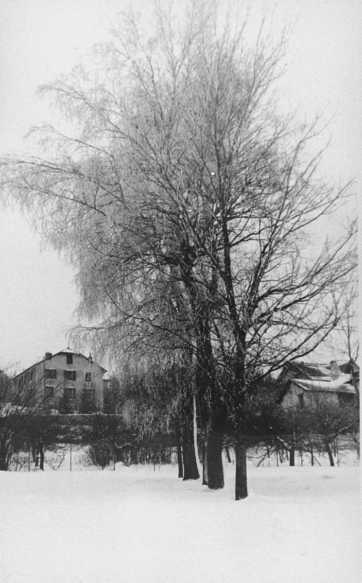 View of the La Guespy children's home in Le Chambon-sur-Lignon.

This is one photo from an album presented to Elizabeth Kaufmann prior to her departure from the La Guespy refugee home in Le Chambon-sur-Lignon.  

Founded in 1941 by the Secours Suisse aux enfants and run by Juliette Usach, the La Guespy children's home provided shelter to a number of Jewish and non-Jewish refugee children who were living in Le Chambon-sur-Lignon during the Nazi occupation.