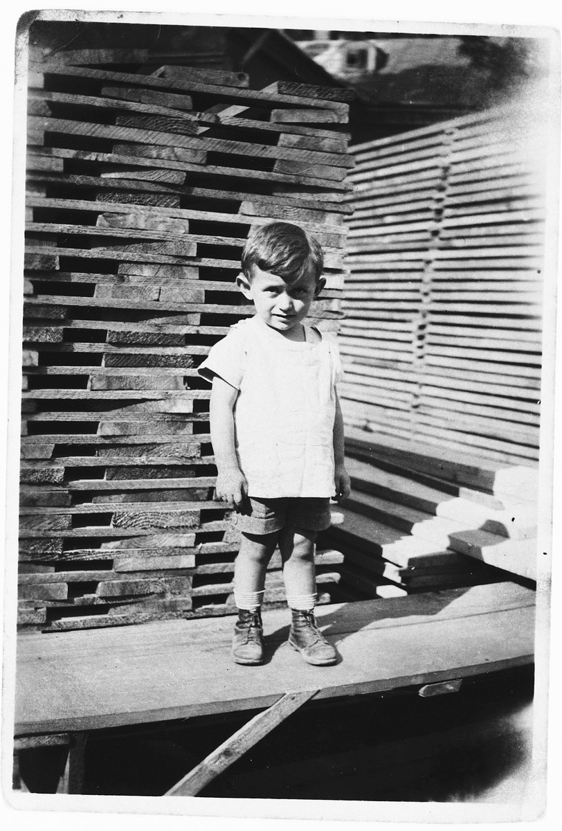 A young Jewish boy poses in front of a stack of lumber in a lumberyard in Rzeszow, Poland.

Pictured is Maurice Friedberg.