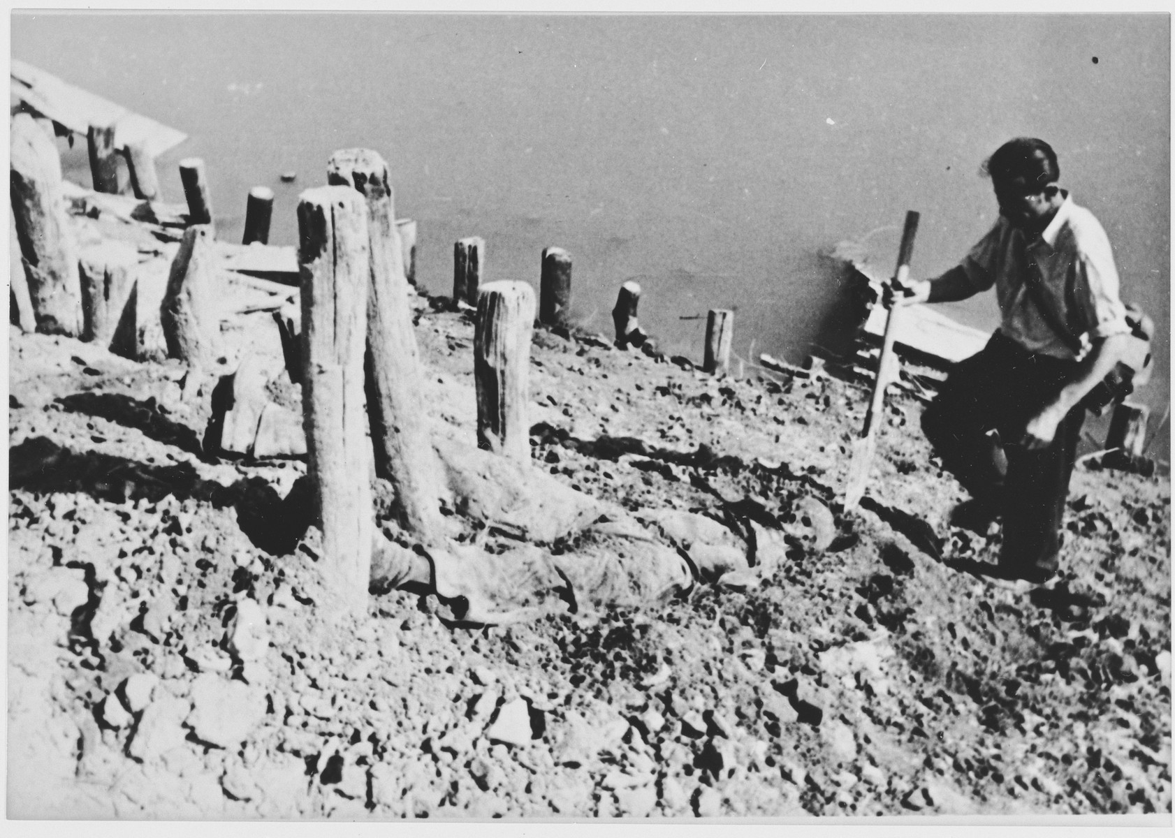 Standing on the banks of the Sava River, a man exhumes the body of a former prisoner at the Jasenovac concentration camp.