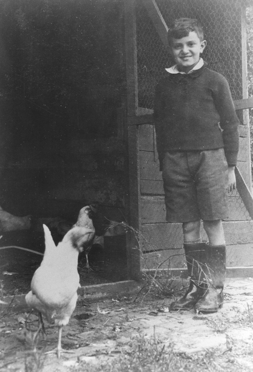 German-Jewish refugee, Hermann Levy, helps care for chickens in the Larino home in Melbourne.

He was part of a group of seventeen children, aged twelve or under, who were the only German-Jewish children to be sheltered in Australia during the war.
