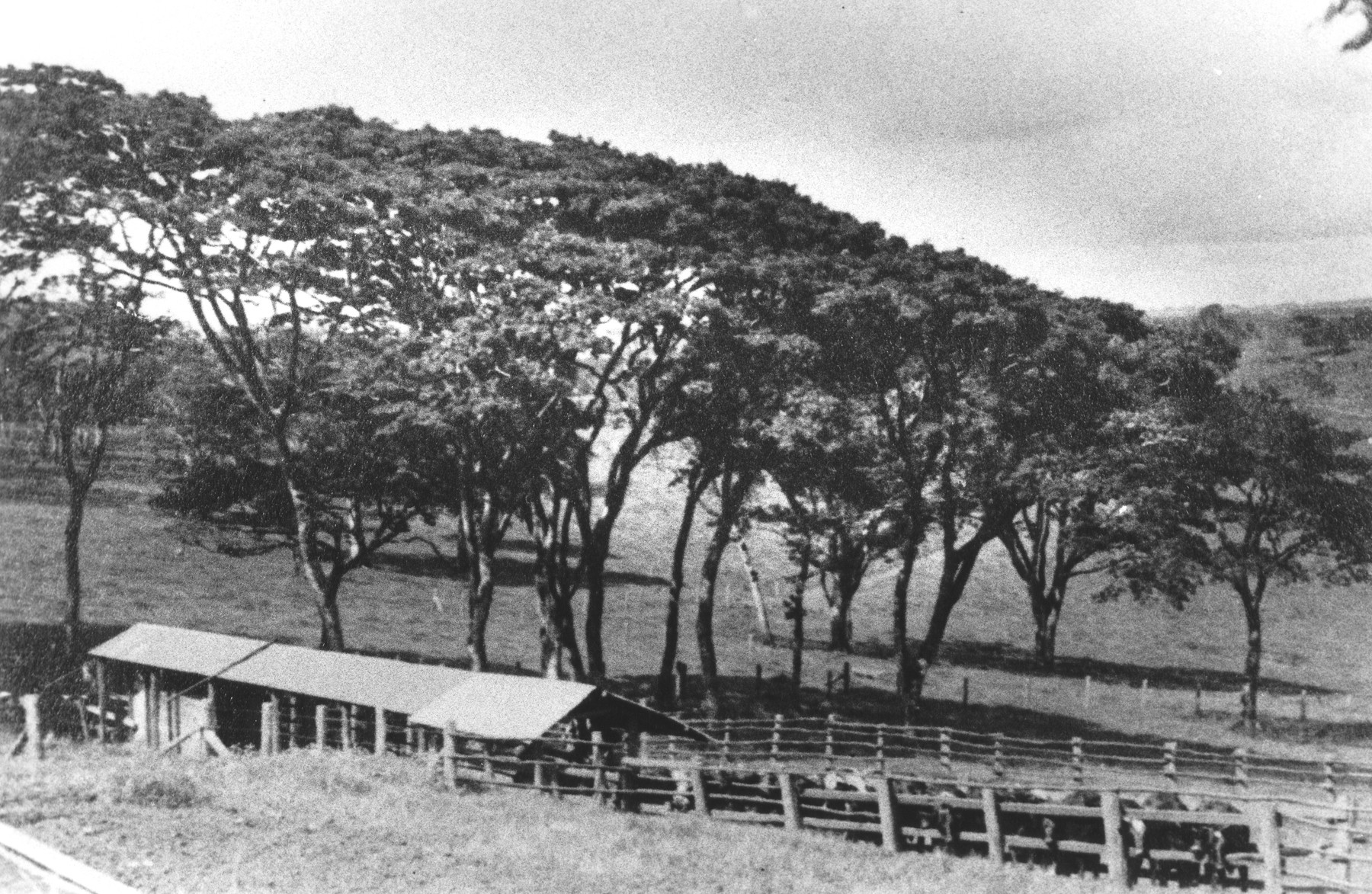 View of the Berg farm near Limuru, Kenya (Kiambu district), where the German Jewish family found refuge during World War II.