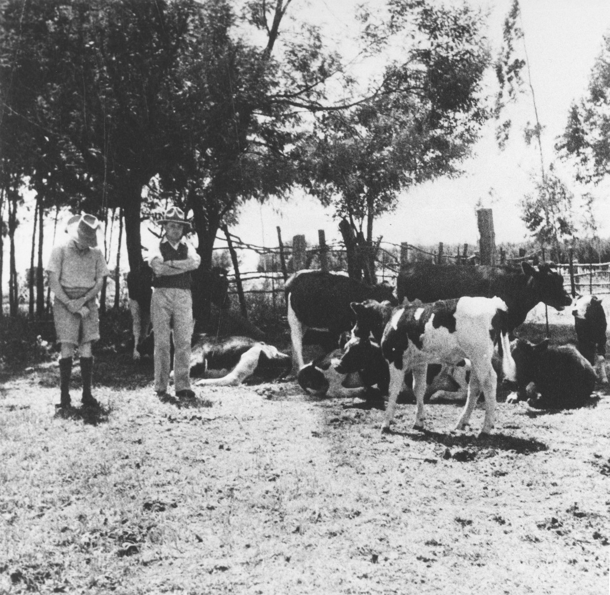 Two Jewish refugees from Germany stand among their dairy cows on their farm near Limuru, Kenya (Kiambu district), where they found refuge during World War II.

Pictured are George and Joseph Berg.