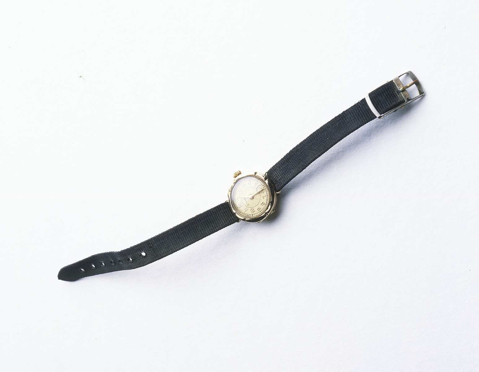 A watch given to Anna Cheszes by her rescuer Madzia Strzelczyk.  

In May 1943, Dora Kaplan was able to smuggle a women's gold watch out of the Bialystok ghetto via Michal Kempinski for her daughter, Pola (later Anna Strzelczyk).  In the late 1960s, Madzia visited Anna and gave her the watch as a high school graduation gift with no explanation.  Anna was not interested in the watch.  Anna learned the truth about her birth and the watch only after Madzia's death in 1972.