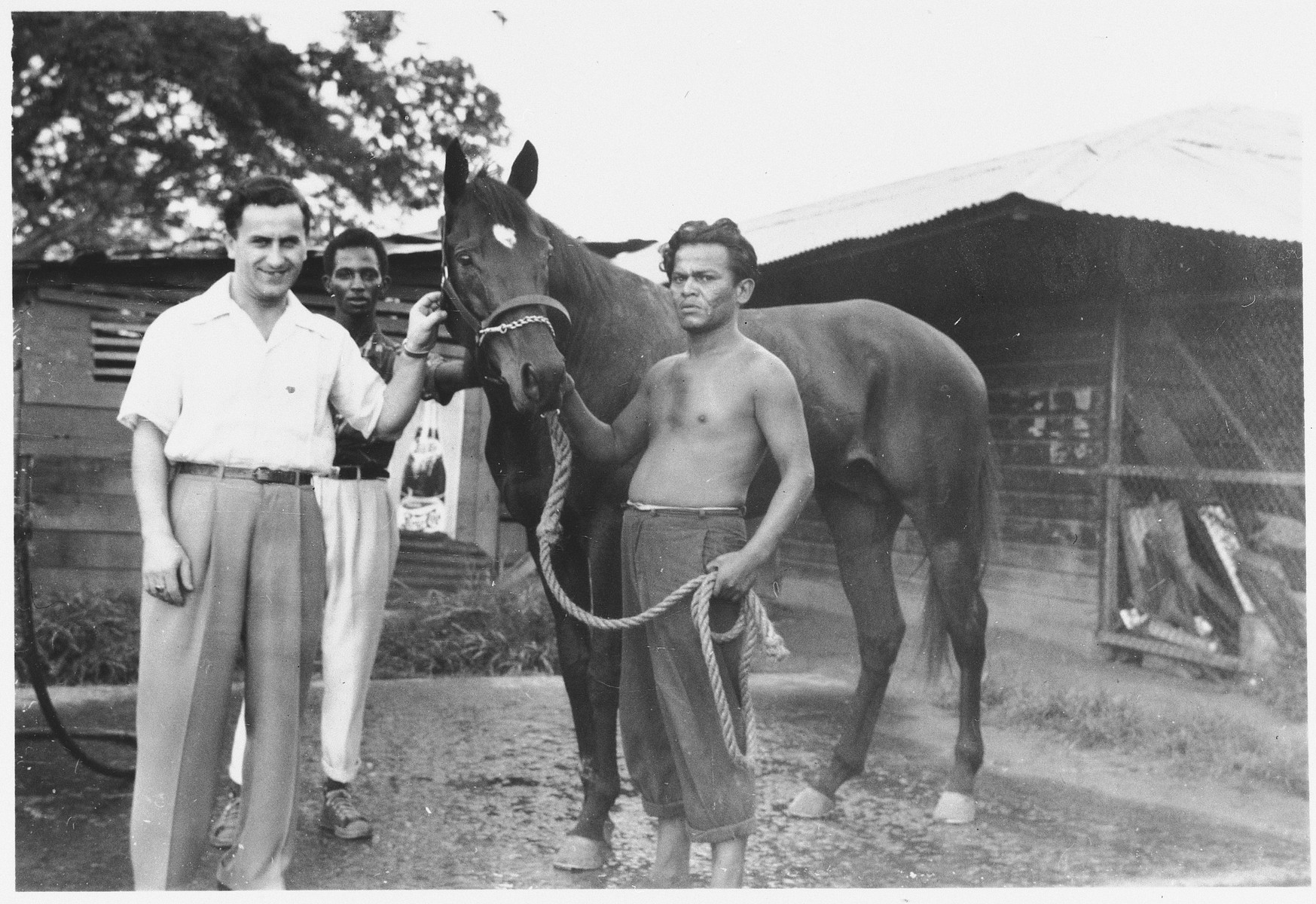 David Bayer, a Jewish DP immigrant from Poland, stands next to his employer's horse in Panama City.