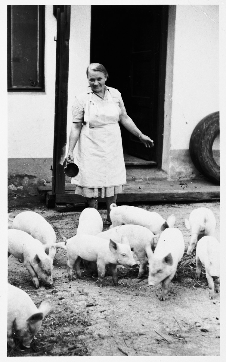 Polish rescuer Manya Blazek feeds the pigs on her farm in Plana nad Luznici, Czechoslovakia.

Manya's family sheltered Blanka and Pavel Heller during the war and preserved their belongings after their deportation.
