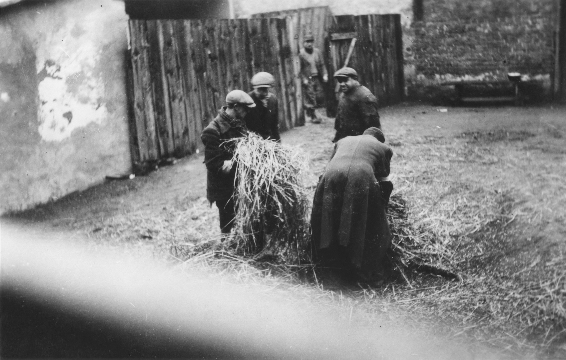 Jews gather straw in the Zawiercie ghetto.