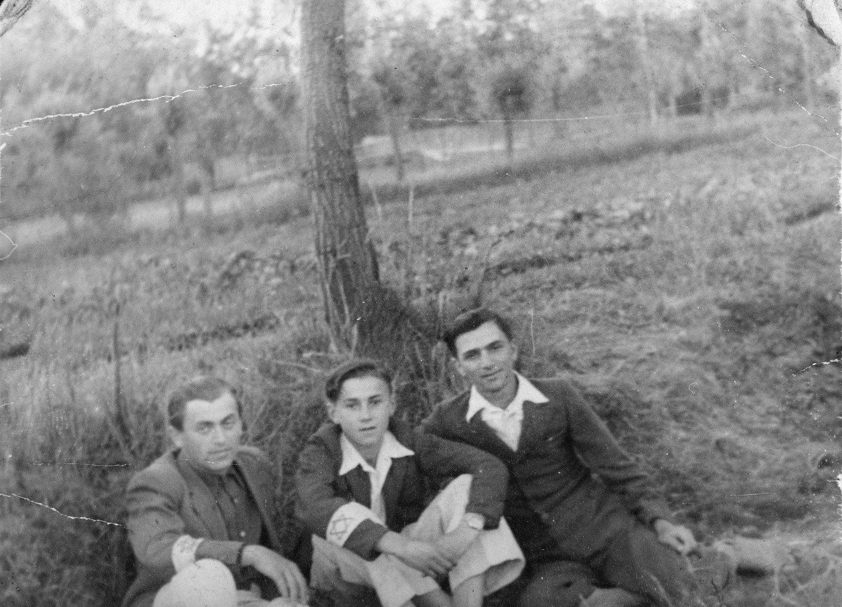 Three young Jewish men wearing armbands with a Jewish star sit in the grass under a tree in the Kozienice ghetto.

Jakub Spiegel is on the left; Baruch (Buzek) Szabason is in the middle.  Jakub and Buzek both perished.

The Polish inscription on the back reads "This picture was taken in June 1942.  This is a picture of my beloved and favorite son Buzek."