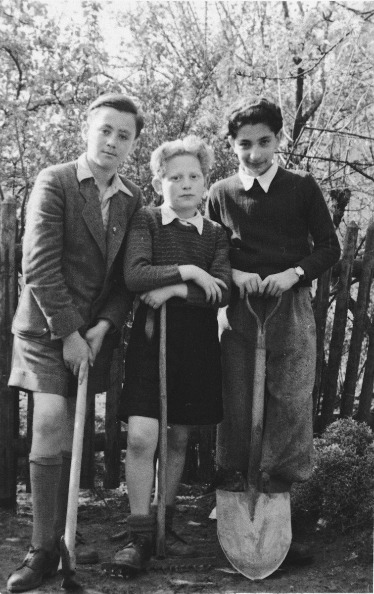 Three boys work in the garden of the Stuttgart displaced person's camp.

Lova Warszawczyk is on the far left.  David Hofman is in the center.