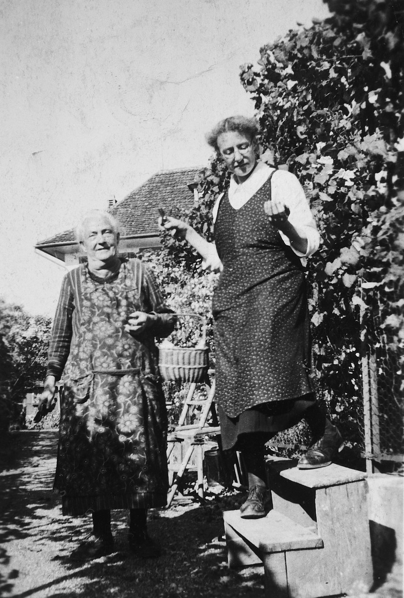 Two women work in a vineyard in Ebnet-Staefa.

Pictured are Mrs. Rieder and Aunt Elisabeth.  Aunt Elisabeth forwarded all the mail of the La Guette children back and forth to their parents.