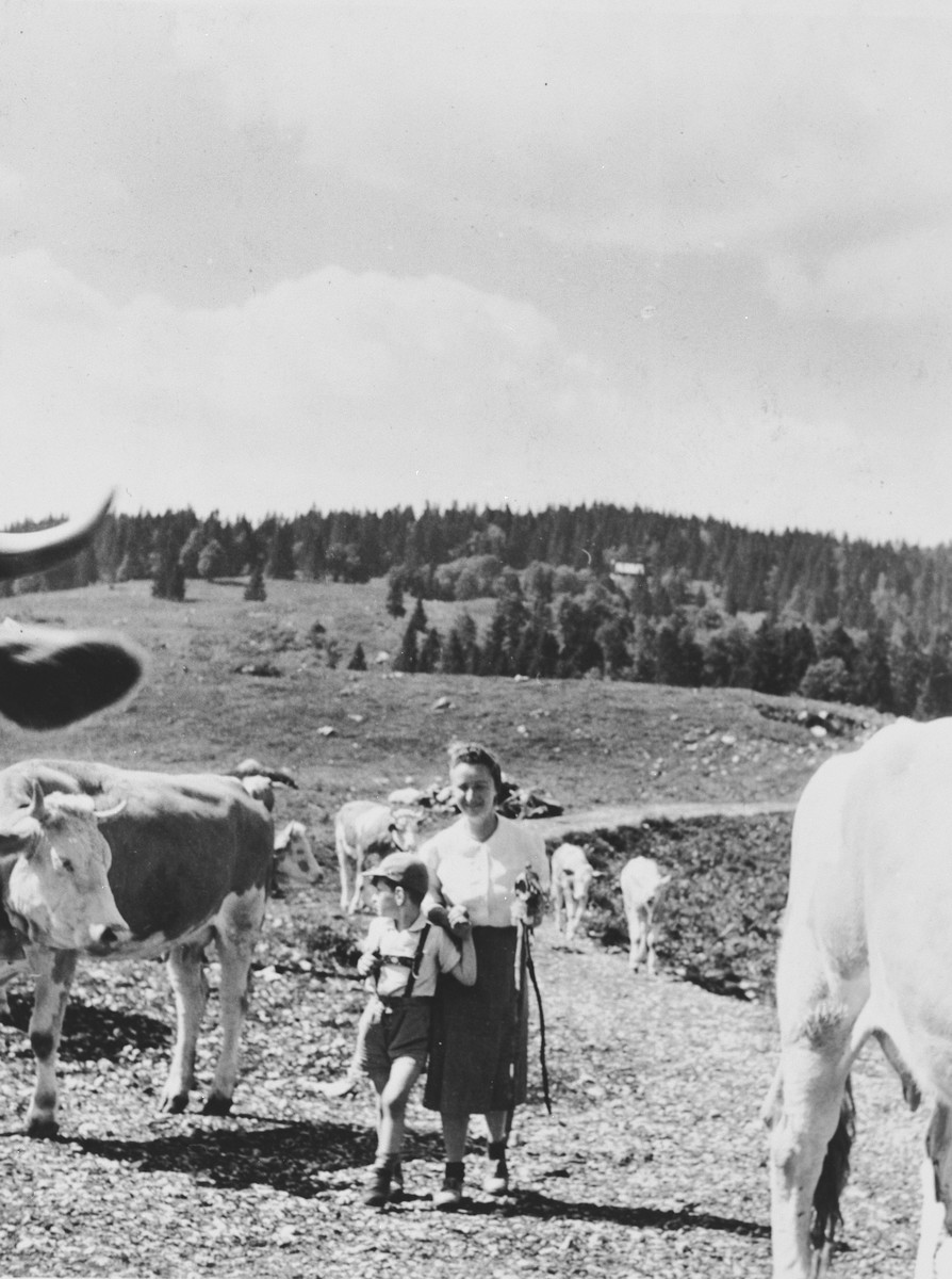 A female Jewish refugee and her son hike by a herd of cows in the Swiss countryside.

Pictured are Ines and Andre Limot.