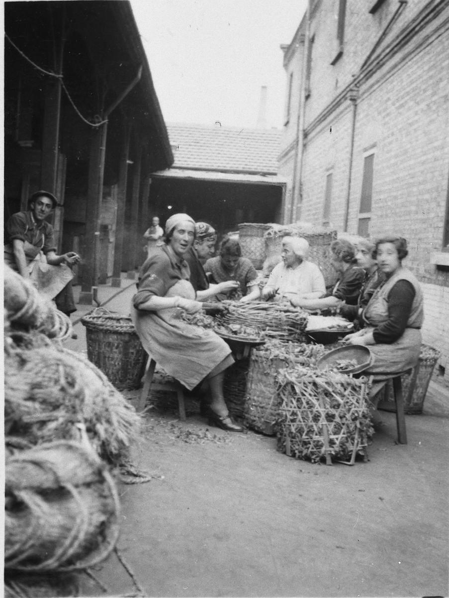 Jewish refugee women sort and prepare vegetables in a courtyard of a ...