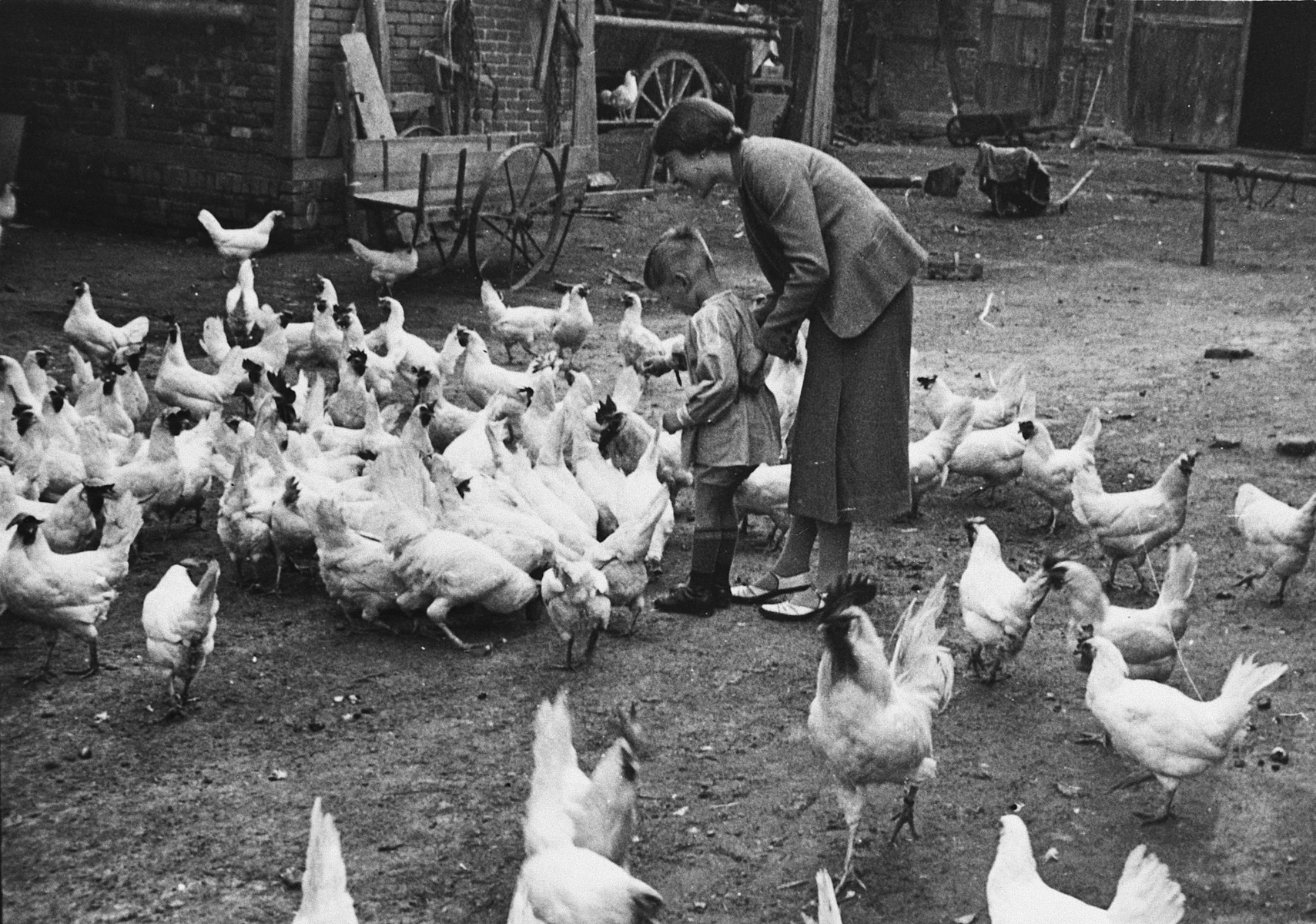 A German-Jewish mother helps her young son feed chickens on a farm.

Pictured are Rolf Blumenthal and his mother Johanna Blumenthal in the yard of his paternal grandfather Julius Blumenthal's business.