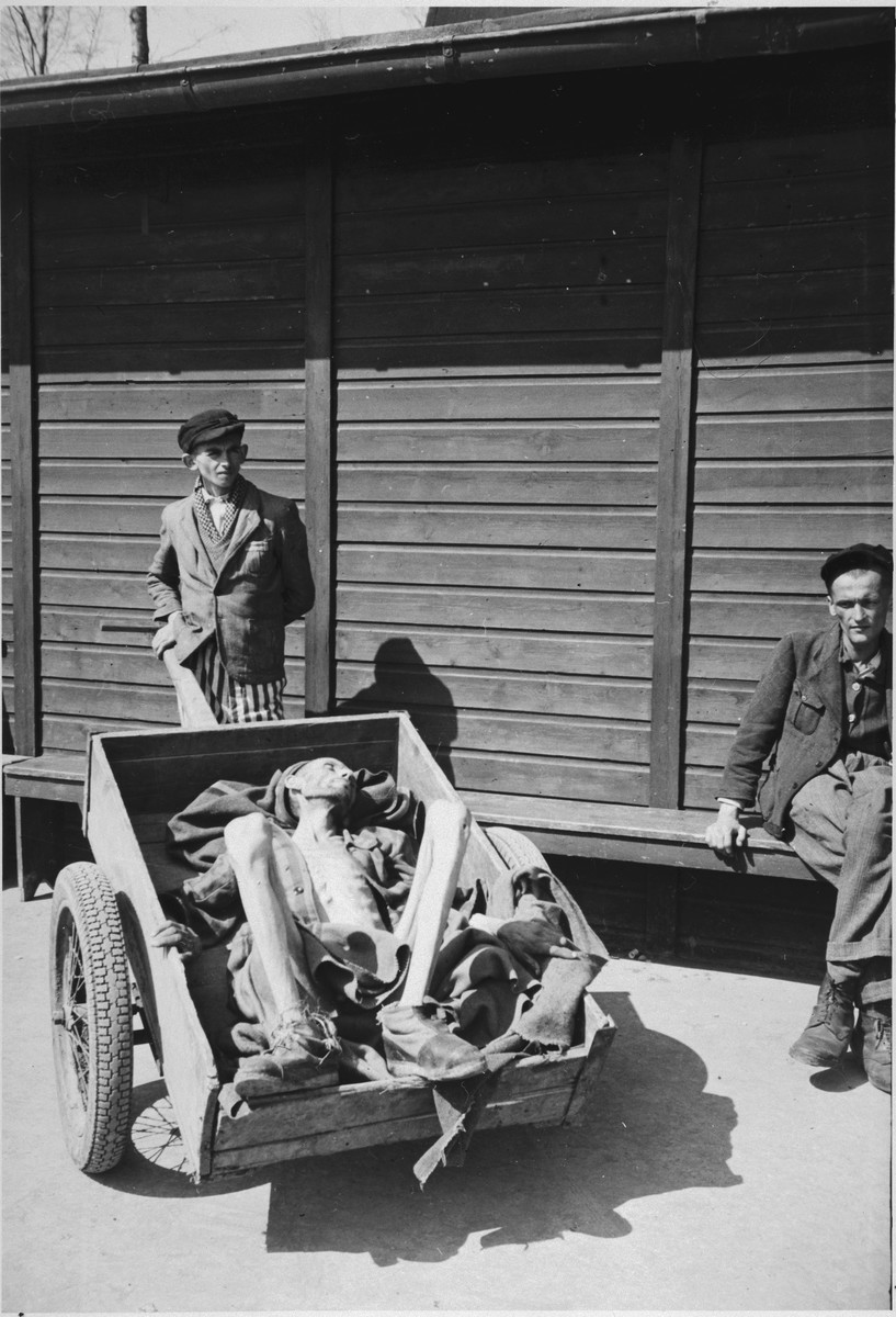 A survivor of Buchenwald stands behind a wheelbarrow holding the corpse of a man who has just died following liberation.

The original caption reads, "The body of a typical prisoner at the camp showing the extreme emaciations.  This patient had just died from starvation and was being hauled to the incinerator."