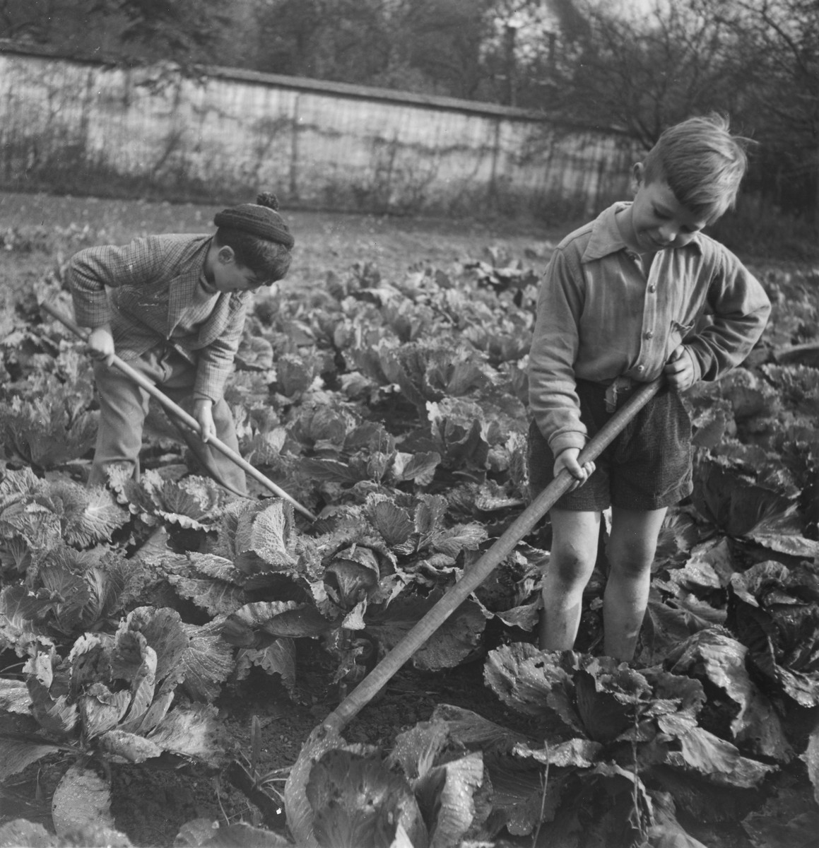 Children work in the garden of a post-war OSE home, possibly La Forge in Fontenay-aux-Roses.