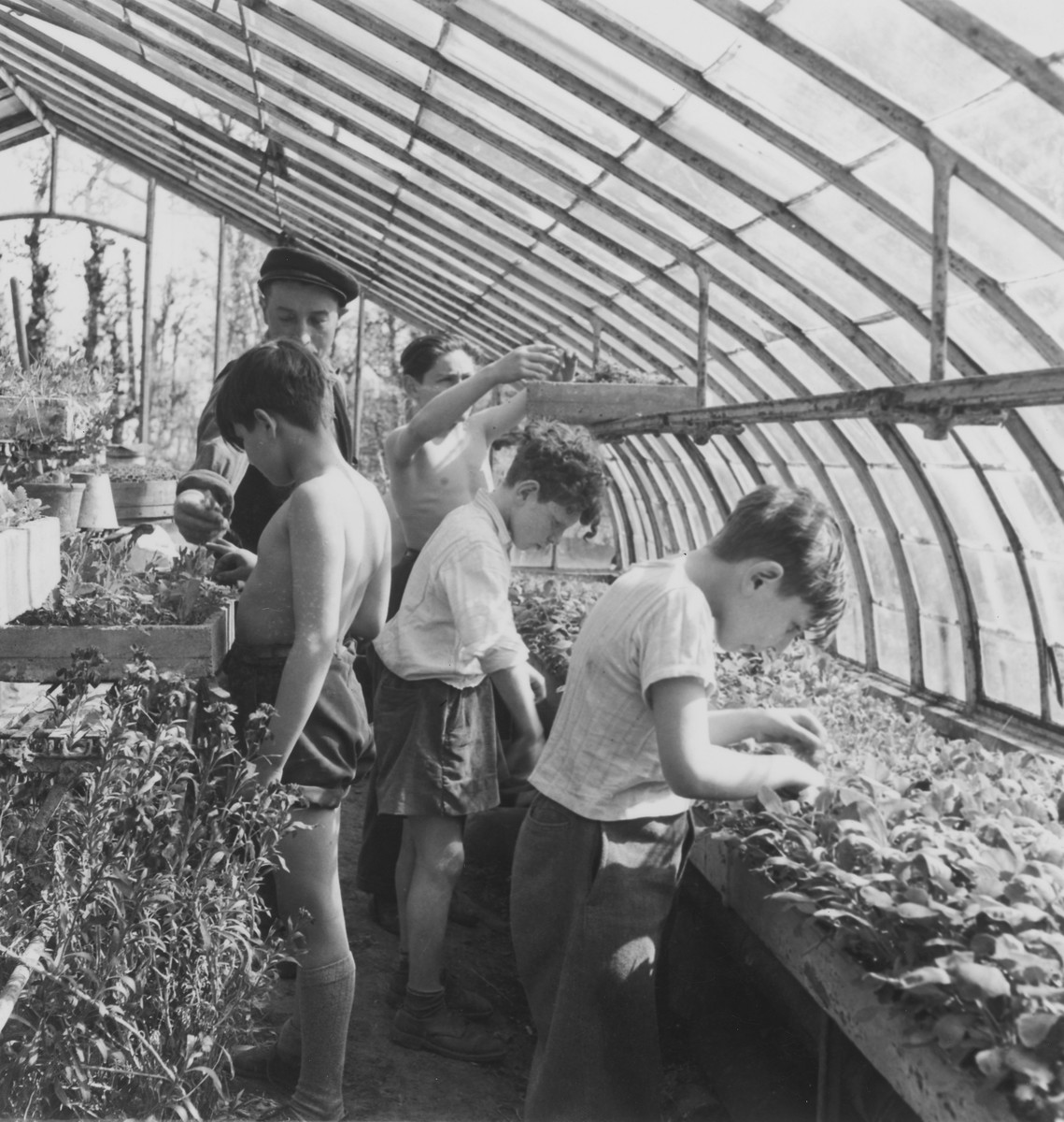 Children work in the greenhouses of La Forge, an OSE children's home in Fontenay-aux-Roses.

Pictured with his arms extended is Richard Nussbaum.