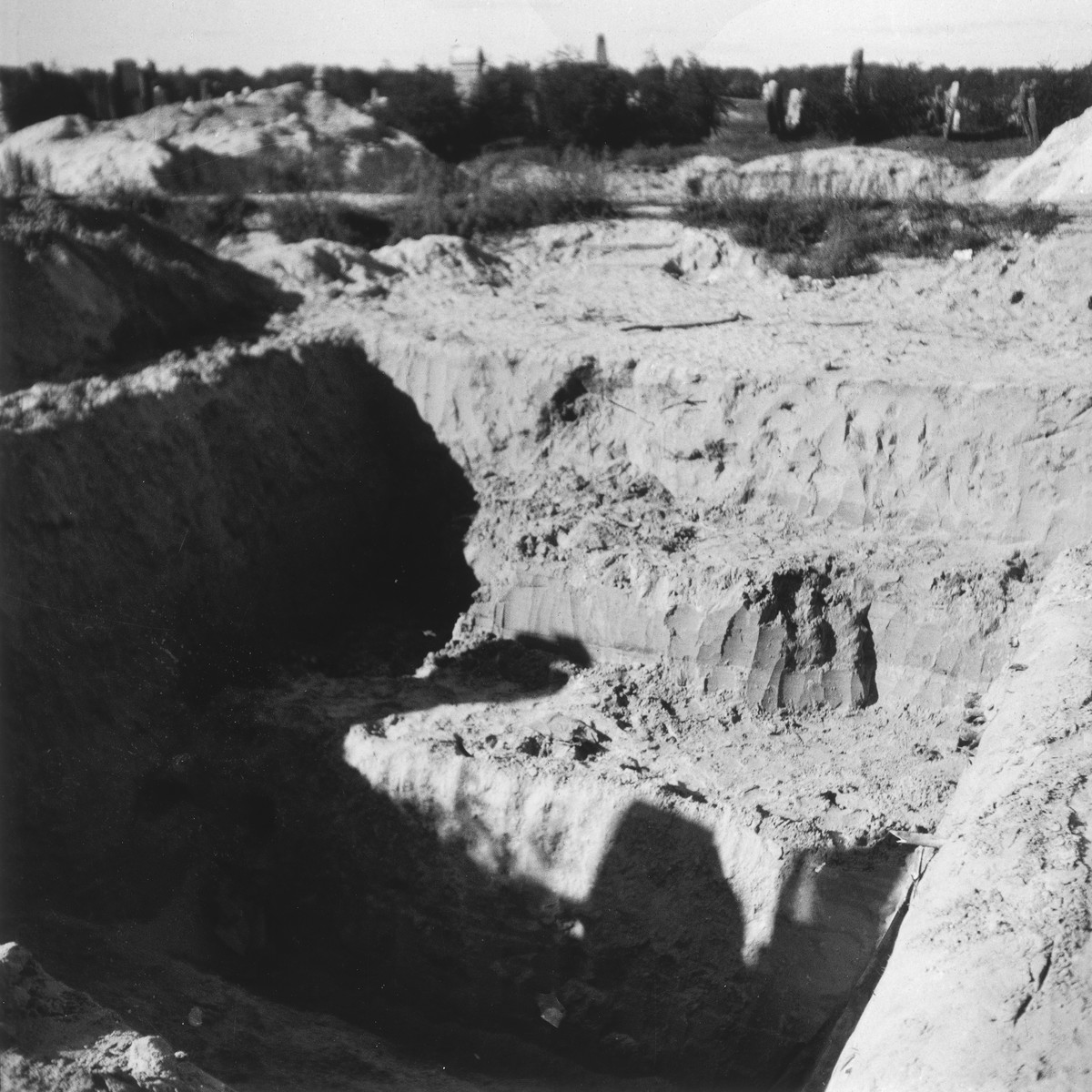 View of a large mass grave in the Warsaw ghetto cemetery.

Joest's original caption reads: "Next to the mass graves in which hundreds of corpses had been laid, a new one had already been dug."