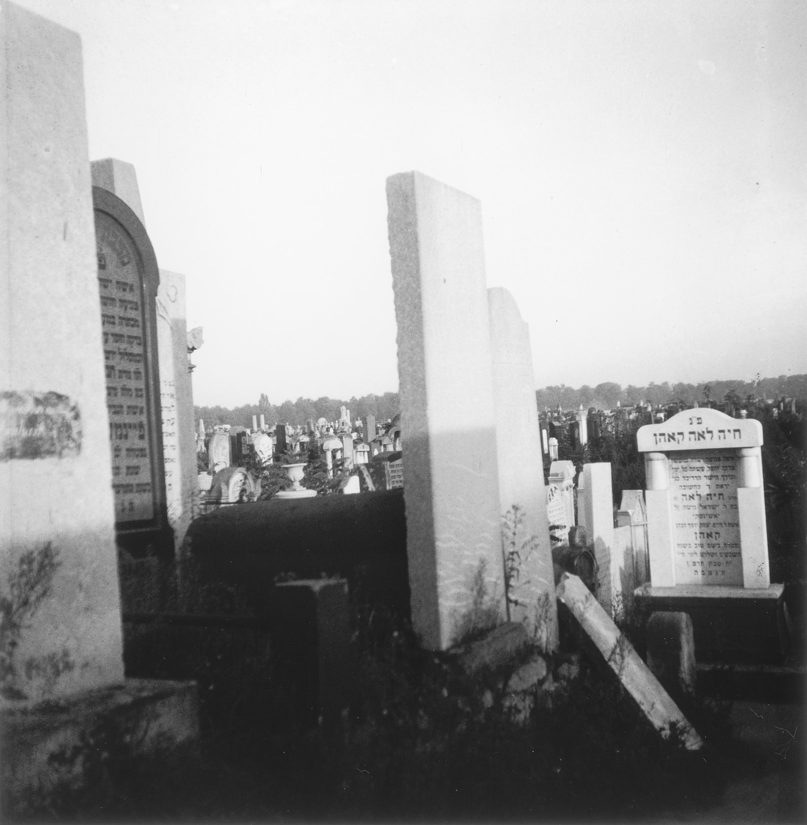 The Jewish cemetery in the Warsaw ghetto.

Joest's original caption reads: "From here one could gaze all the way to the horizon across a vast field of tombstones."