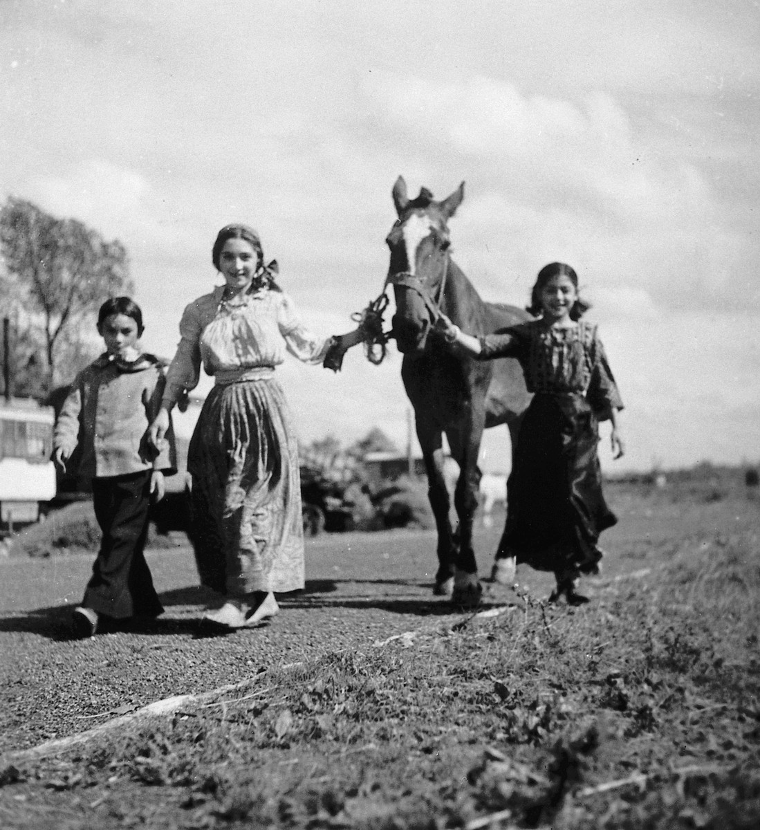 Romani youths lead a horse along a road.