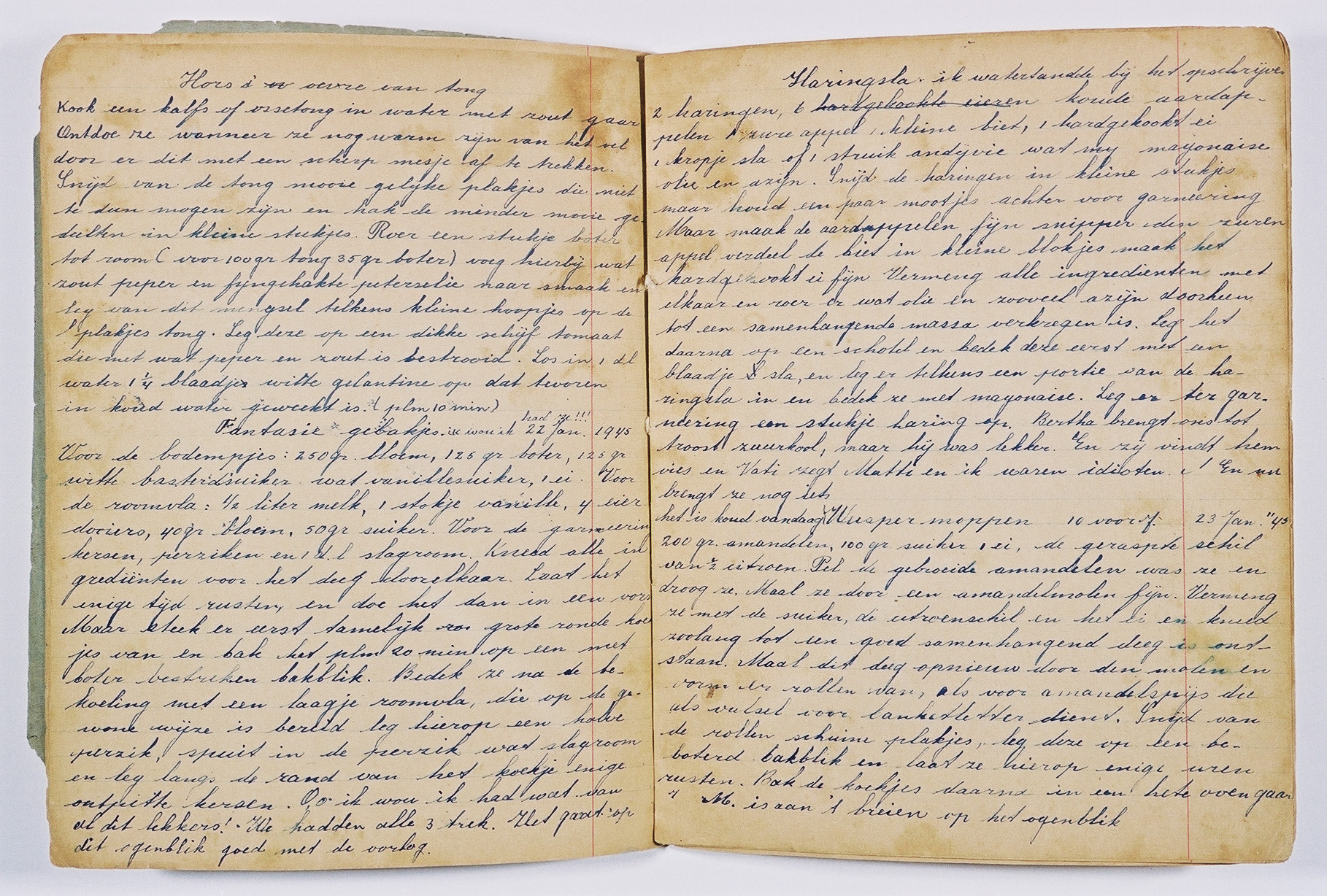 Pages from a diary written by Susie Grunbaum Schwarz while in hiding.  She disguised the diary in the form of a cookbook written in several languages.