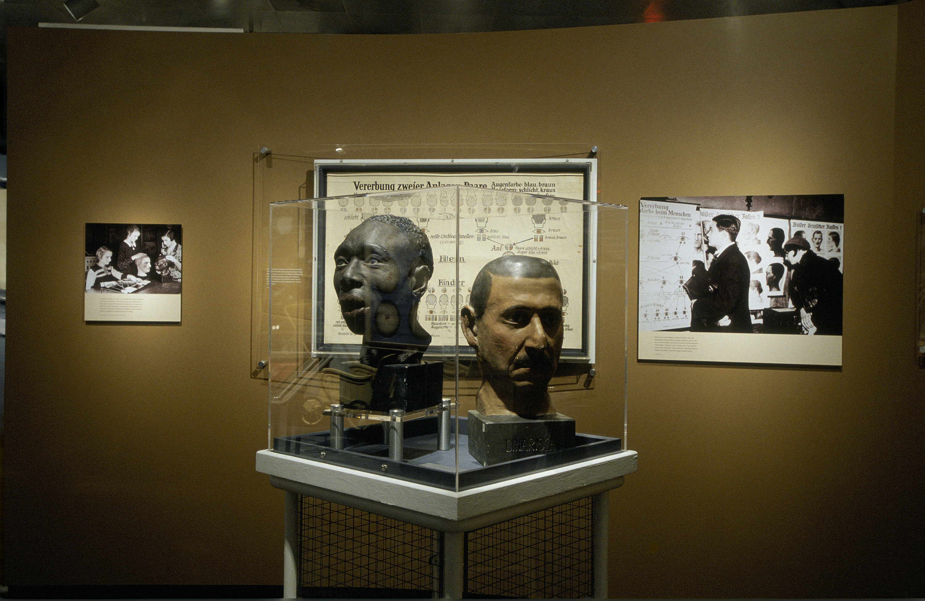 One segment from the special exhibition, "Deadly Medicine: Creating the Master Race," U.S. Holocaust Memorial Museum, which opened on April 22, 2004.