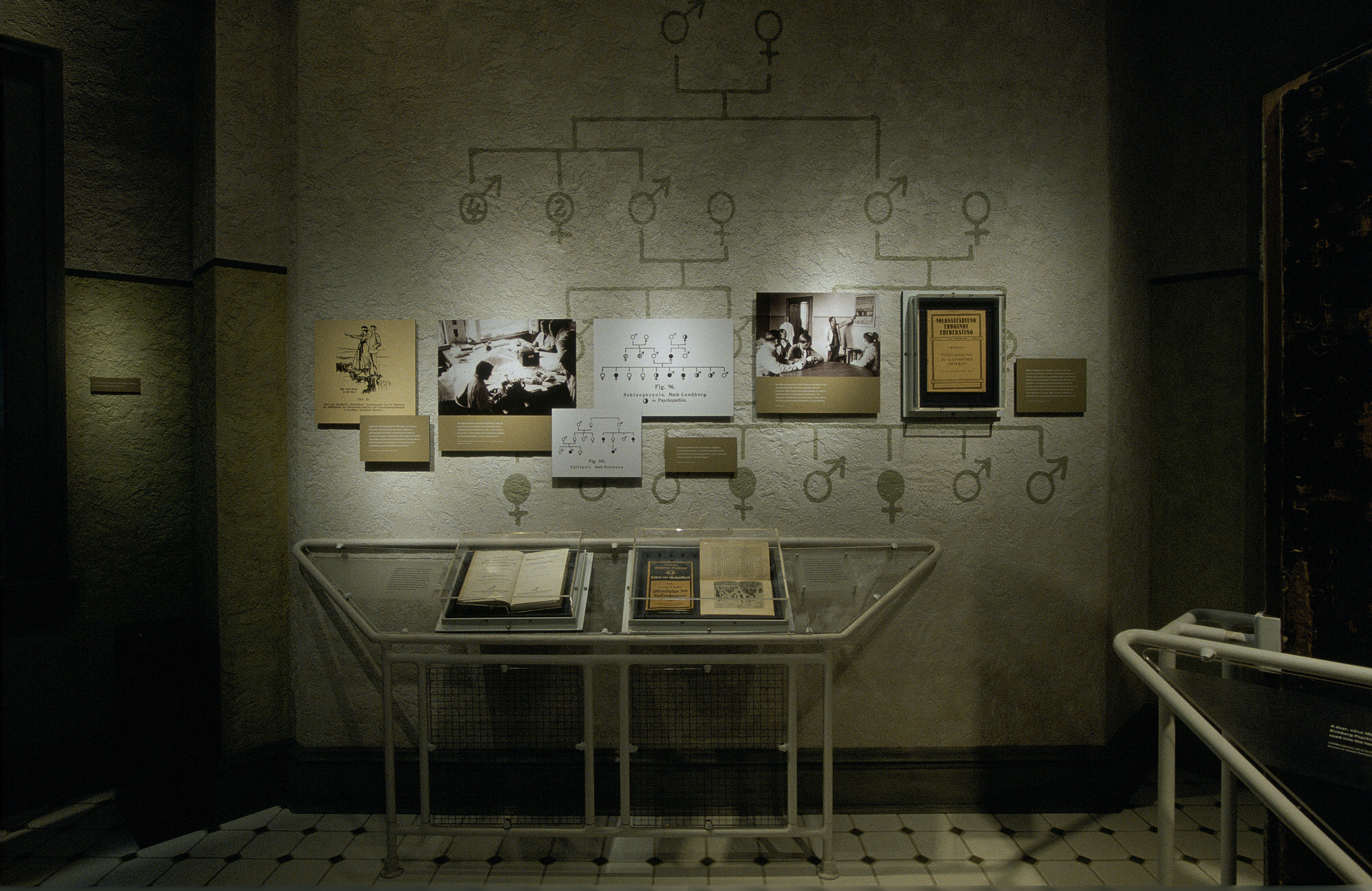 One segment from the special exhibition, "Deadly Medicine: Creating the Master Race," U.S. Holocaust Memorial Museum, which opened on April 22, 2004.