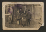 A Polish Jewish family poses for a photograph in their backyard.