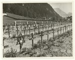 Cemetery of the former concentration camp near Ebensee, Austria

Ebensee was used as a displaced persons camp after liberation, a cemetery for the victims of the concentration camp was laid out in 1946.