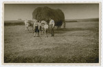 From left to right, Artur, Helmut, Norbert, and Sigmund Isenberg pose for a photograph during hay harvesting.
