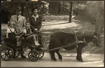 Two children go on an excursion on a pony cart in the zoo.