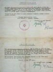 Document issued to Haim Ellenboghen, the donor's father, by the Jewish Relief Committee of Topusko, certifying that he is a delegate of that Committee on a mission to Bari, and that all authorities are to offer him assistance in the carrying out of his tasks.