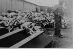 An American soldier walks amidst stacks of corpses and coffins in the Buchenwald concentration camp.