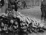 American soldiers view a pile of corpses found behind the crematorium in the newly liberated Buchenwald concentration camp.