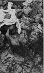 The corpses of prisoners found at the bottom of a large depression in Buchenwald.