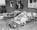 The bodies of former prisoners are stacked outside the crematorium in the newly liberated Buchenwald concentration camp.