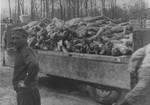 A wagon is piled high with the bodies of former inmates at the newly liberated Buchenwald concentration camp.