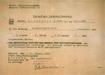 A provisional residence permit issued by the Munich housing office to Mendel Rozenblit, a Jewish displaced person, living in a three-room apartment on Hindenburgstrasse.