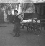 A boy working in the Jewish cemetery on Okopowa Street pulls a body out of the morgue for burial.