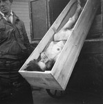 A worker in the Jewish cemetery on Okopowa Street tips forward the open coffin of a dead woman to allow Heinrich Joest an opportunity to take pictures.