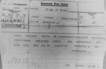 A telegram informing Jozef Sabala of death of his son, Hieronim Sabala, in Auschwitz.