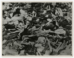 Corpses in an open mass grave in Ohrdruf.