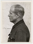 Mug shot of S.S. guard Otto Moll stationed at Dachau, who was arrested when the camp was liberated by American forces on April 29, 1945.