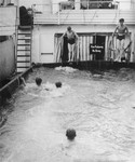 Passengers on the St. Louis swim in the ship's pool.