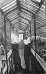 Josef Ginsburg and an assistant pose between rows of cactus plants in his greenhouse.