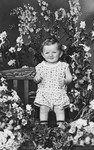 Portrait of a Jewish child standing among the flowers in his father's greenhouse on his first birthday.